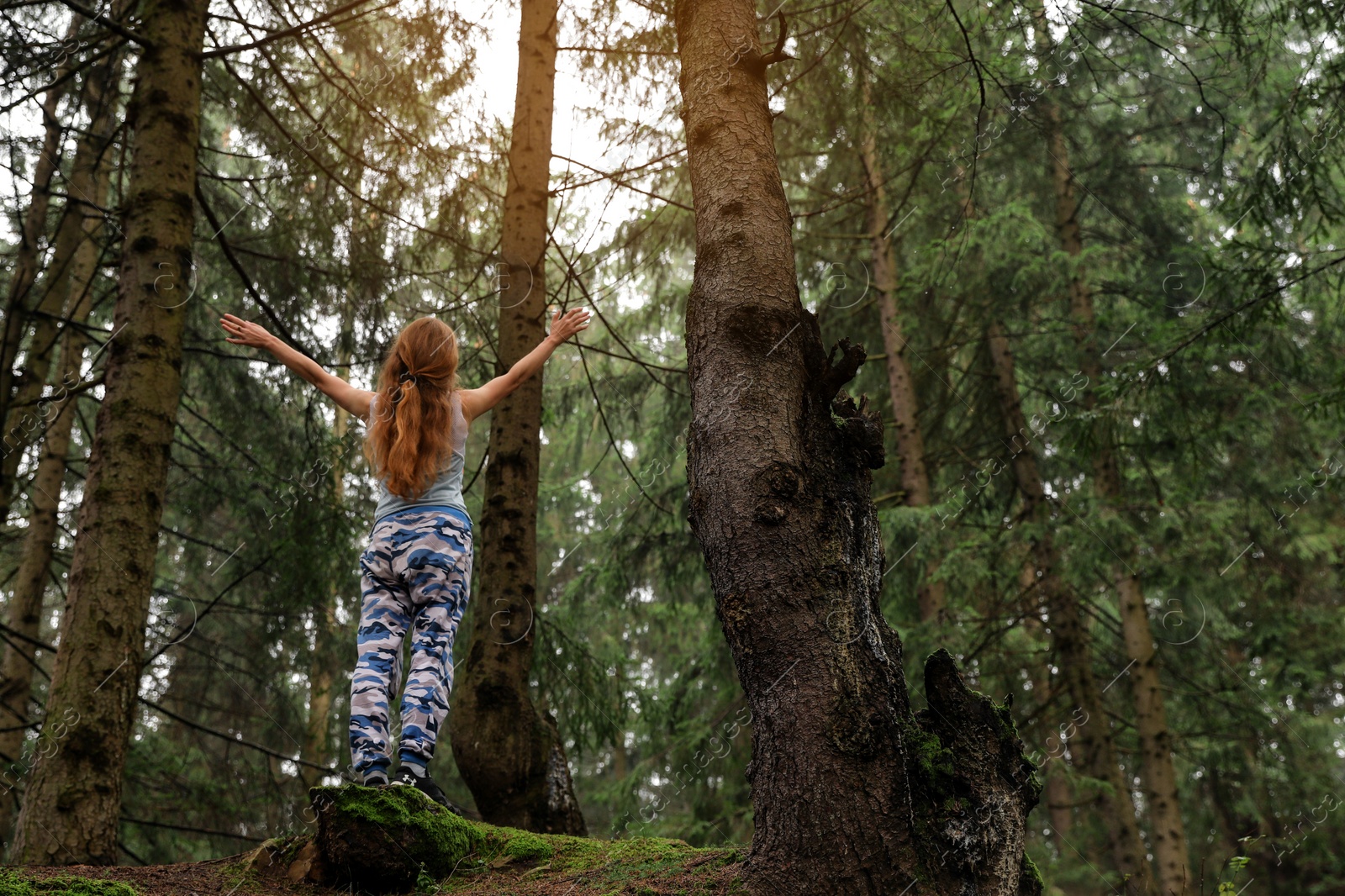 Photo of Woman on walk in beautiful coniferous forest