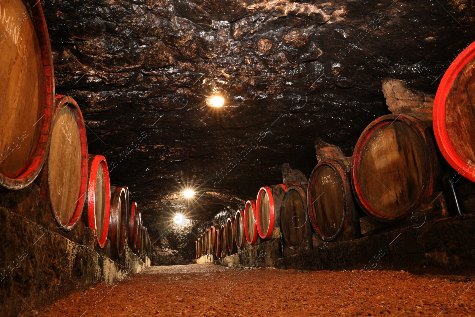 Photo of Bene, Ukraine - June 23, 2023: Many wooden barrels with alcohol drinks in cellar