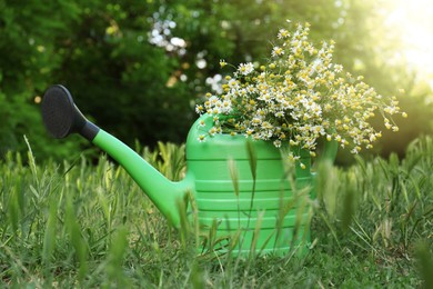 Photo of Beautiful bouquet of chamomiles in green watering can on grass outdoors