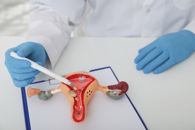 Photo of Gynecologist demonstrating model of female reproductive system at table, closeup