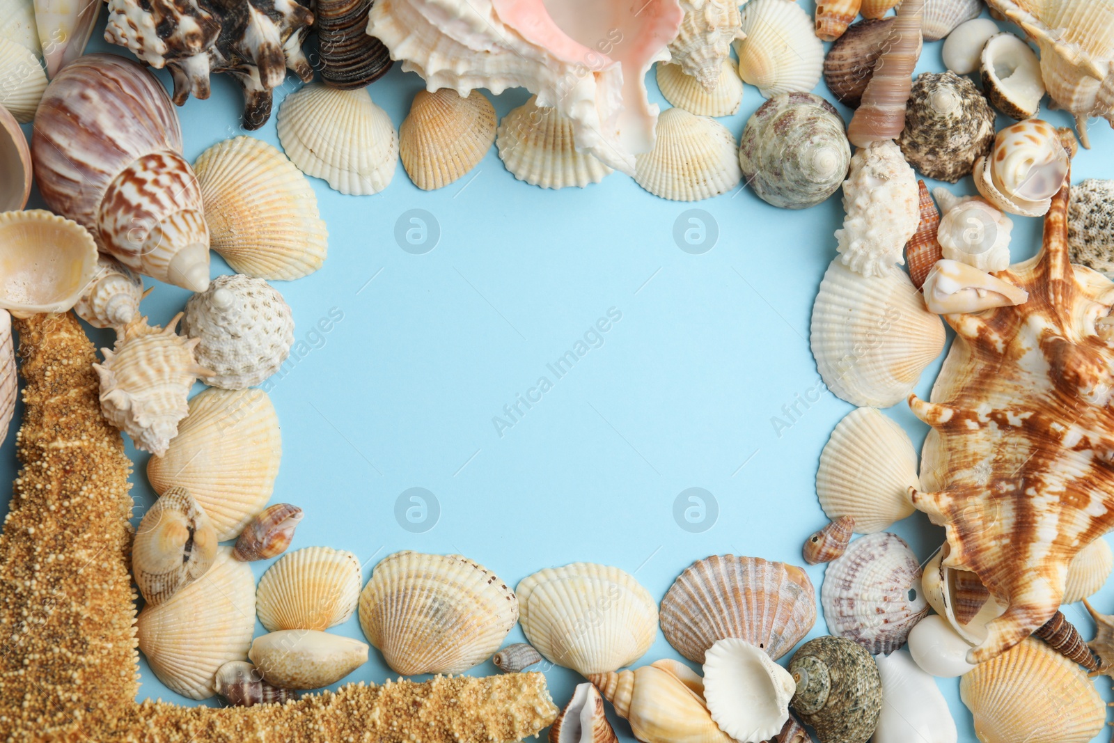 Photo of Frame of sea shells on light blue background, flat lay. Space for text