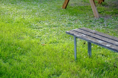 Photo of Wooden bench on green grass outdoors. Space for text