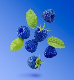 Image of Many fresh blue raspberries and green leaves falling on blue background