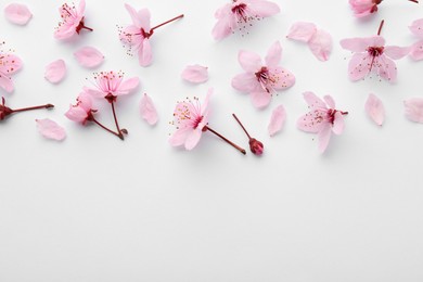 Photo of Beautiful spring tree blossoms and petals on white background, flat lay. Space for text