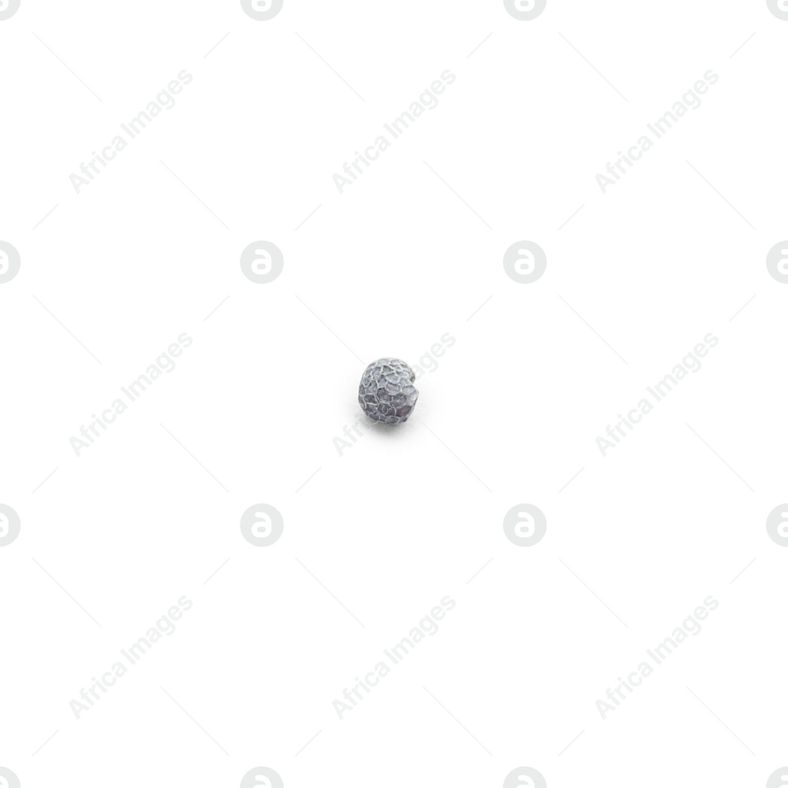 Photo of Single small poppy seed isolated on white