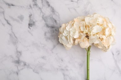 Photo of Beautiful hydrangea flower on white marble background, top view. Space for text