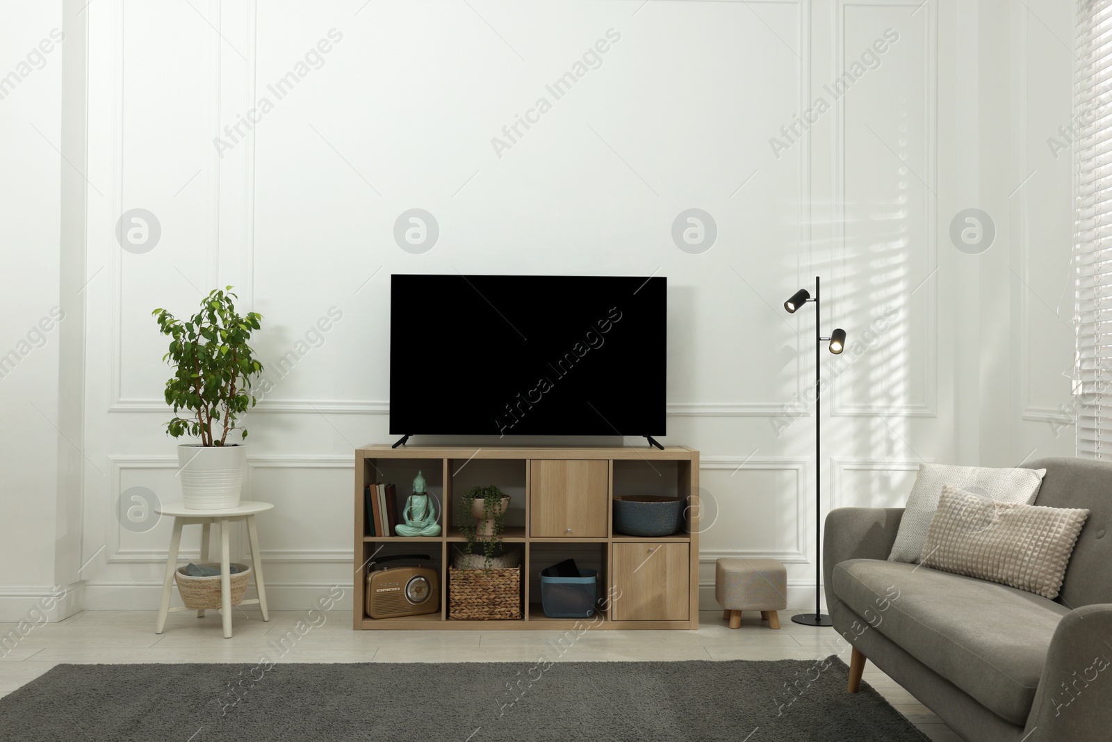 Photo of Modern TV on cabinet, sofa and beautiful houseplant indoors. Interior design