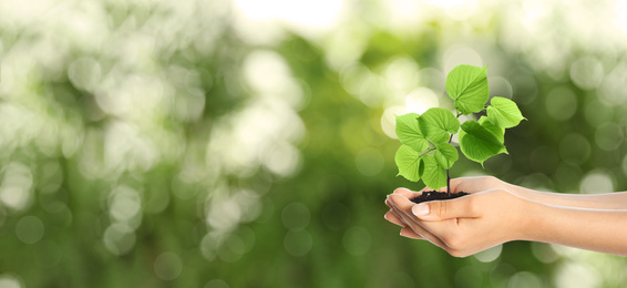 Image of Woman holding small tree in soil on green blurred background, banner design with space for text. Ecology protection