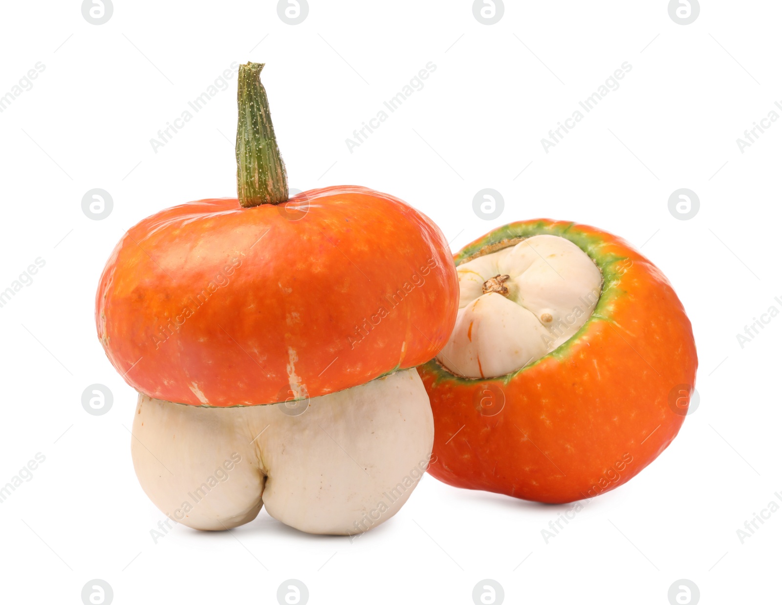 Photo of Two fresh ripe pumpkins isolated on white