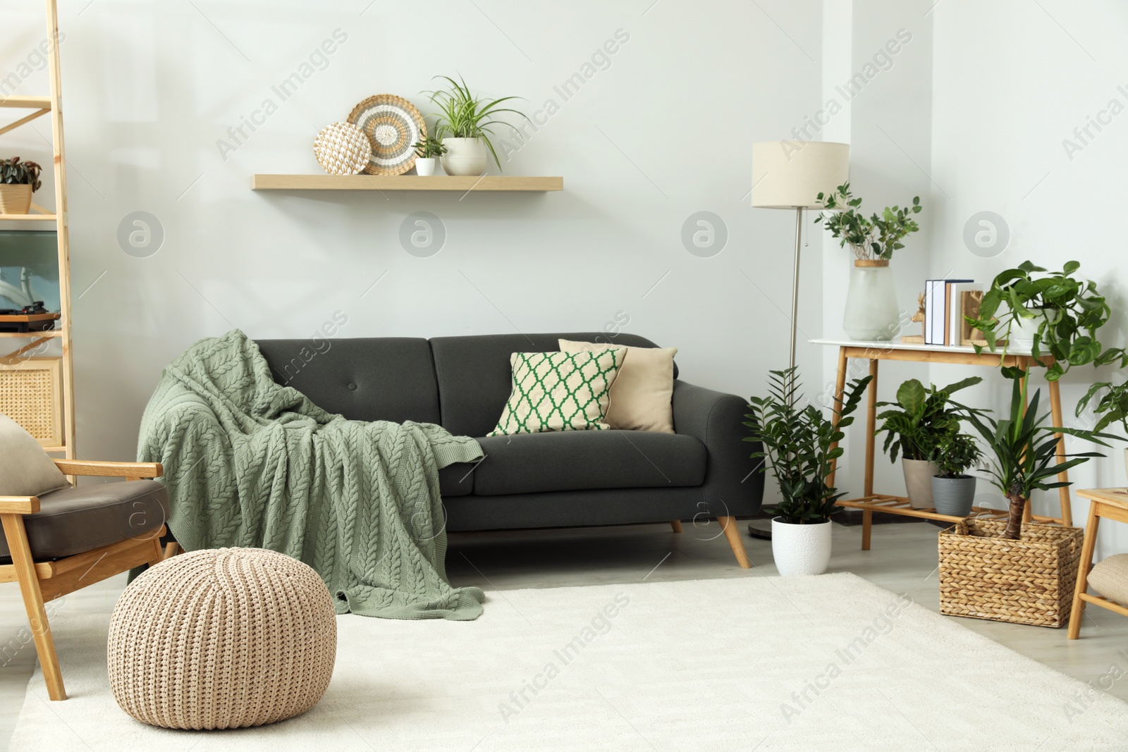 Photo of Beautiful living room interior with green houseplants and comfortable furniture