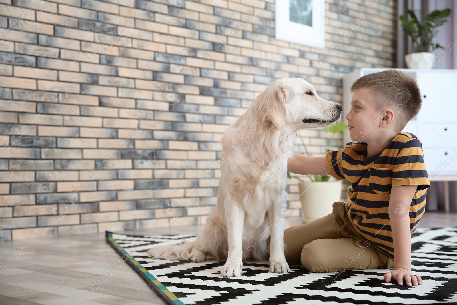 Photo of Cute little child with his pet on floor at home