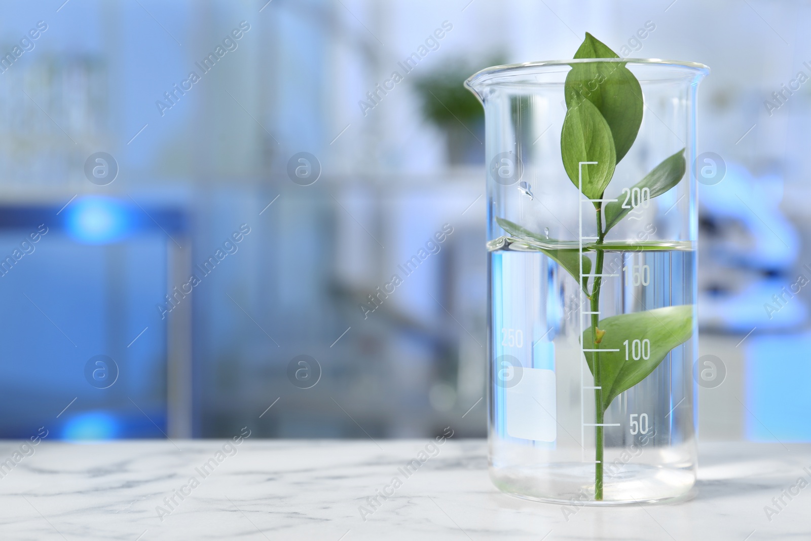 Photo of Beaker with plant on table in laboratory. Space for text