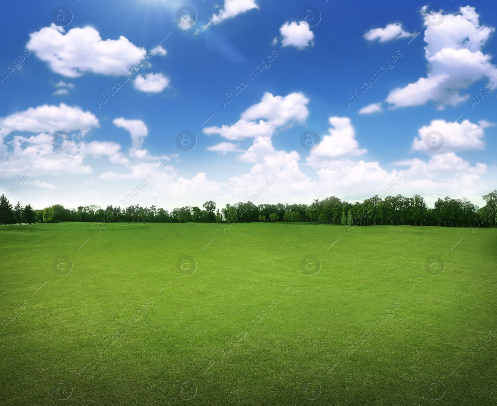 Image of Beautiful view of park with green grass on sunny day