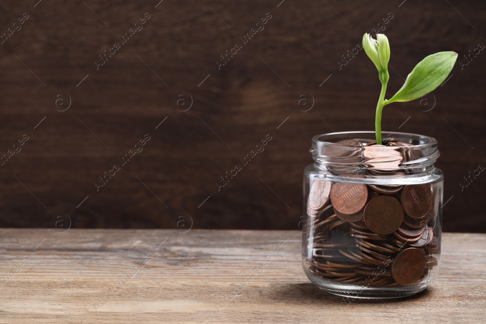 Photo of Glass jar with coins and flower on wooden table, space for text. Investment concept