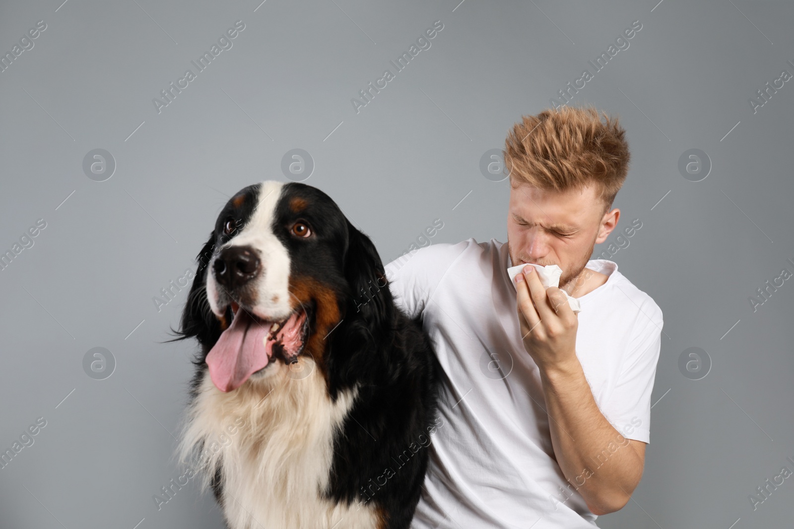 Photo of Young man suffering from fur allergy on grey background