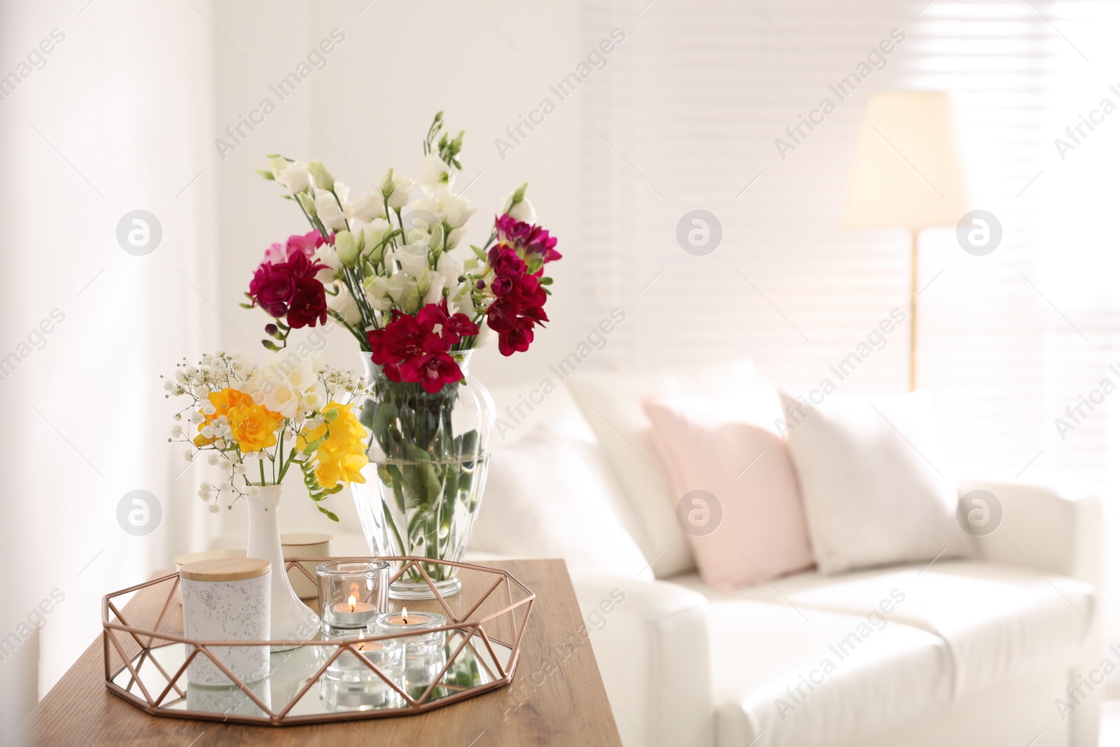 Photo of Beautiful spring freesia flowers in light room, space for text