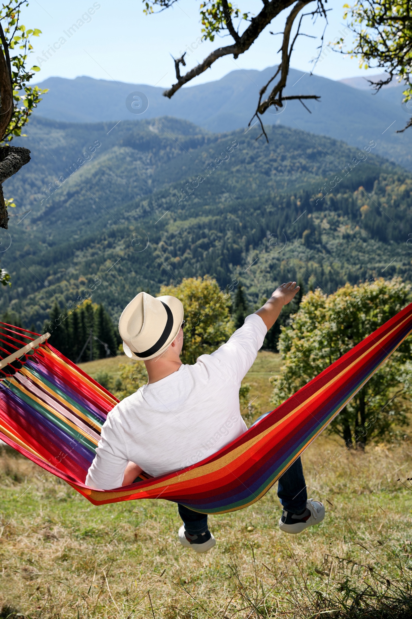 Photo of Man resting in hammock outdoors on sunny day, back view