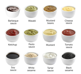 Set of different delicious sauces and condiments with names on white background