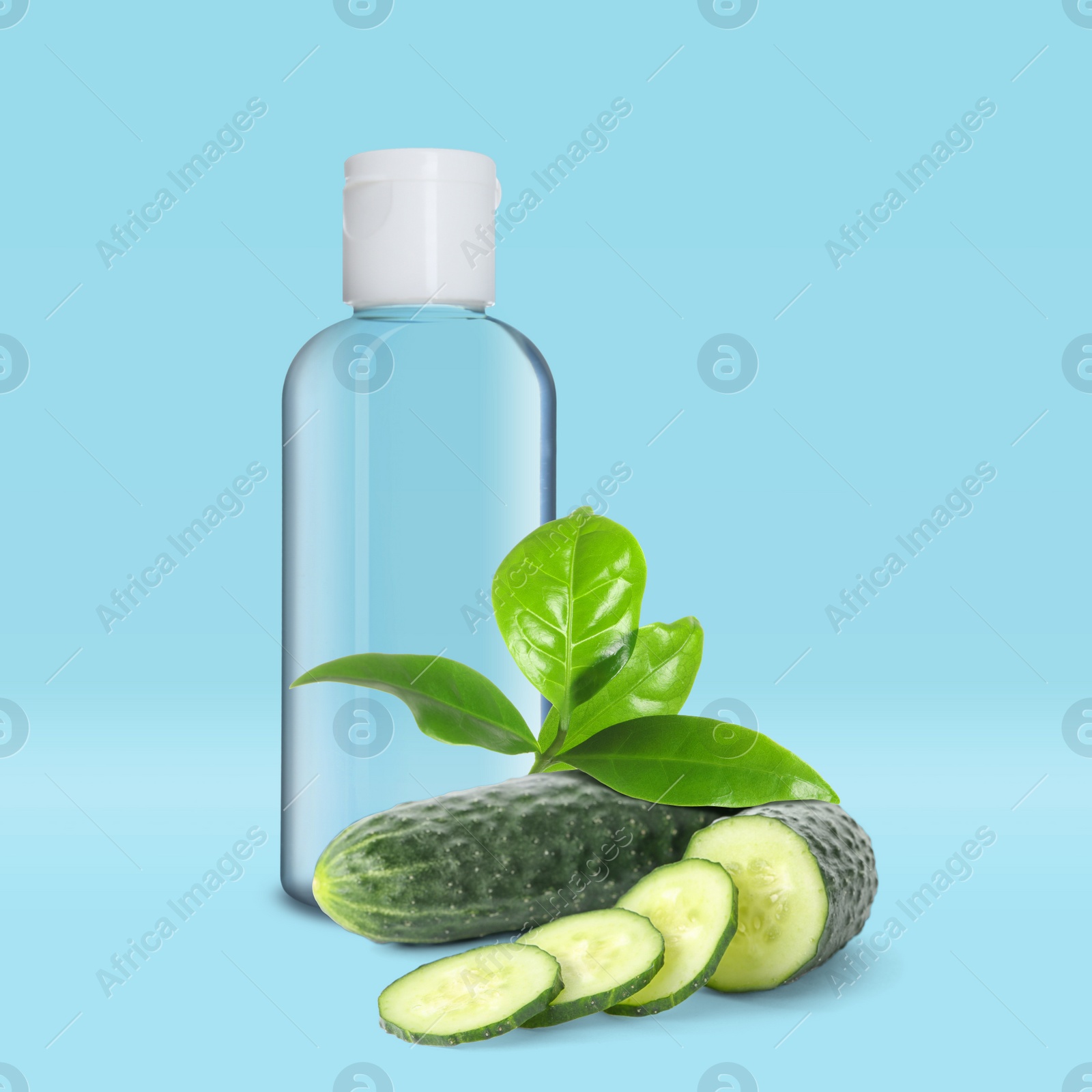 Image of Bottle of micellar cleansing water, fresh cucumbers and green leaves on blue background. Makeup remover