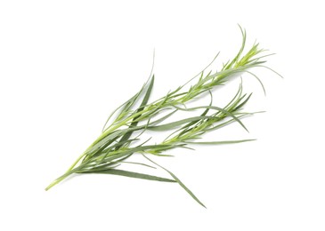 One sprig of fresh tarragon on white background, top view
