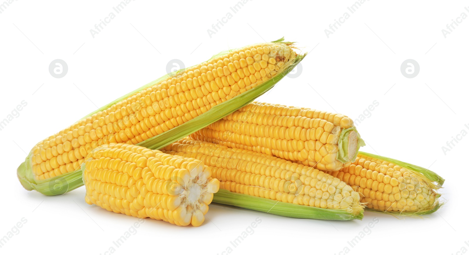 Photo of Tasty sweet corn cobs on white background