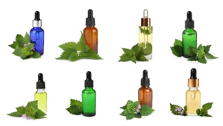 Image of Set with bottles of nettle oil on white background