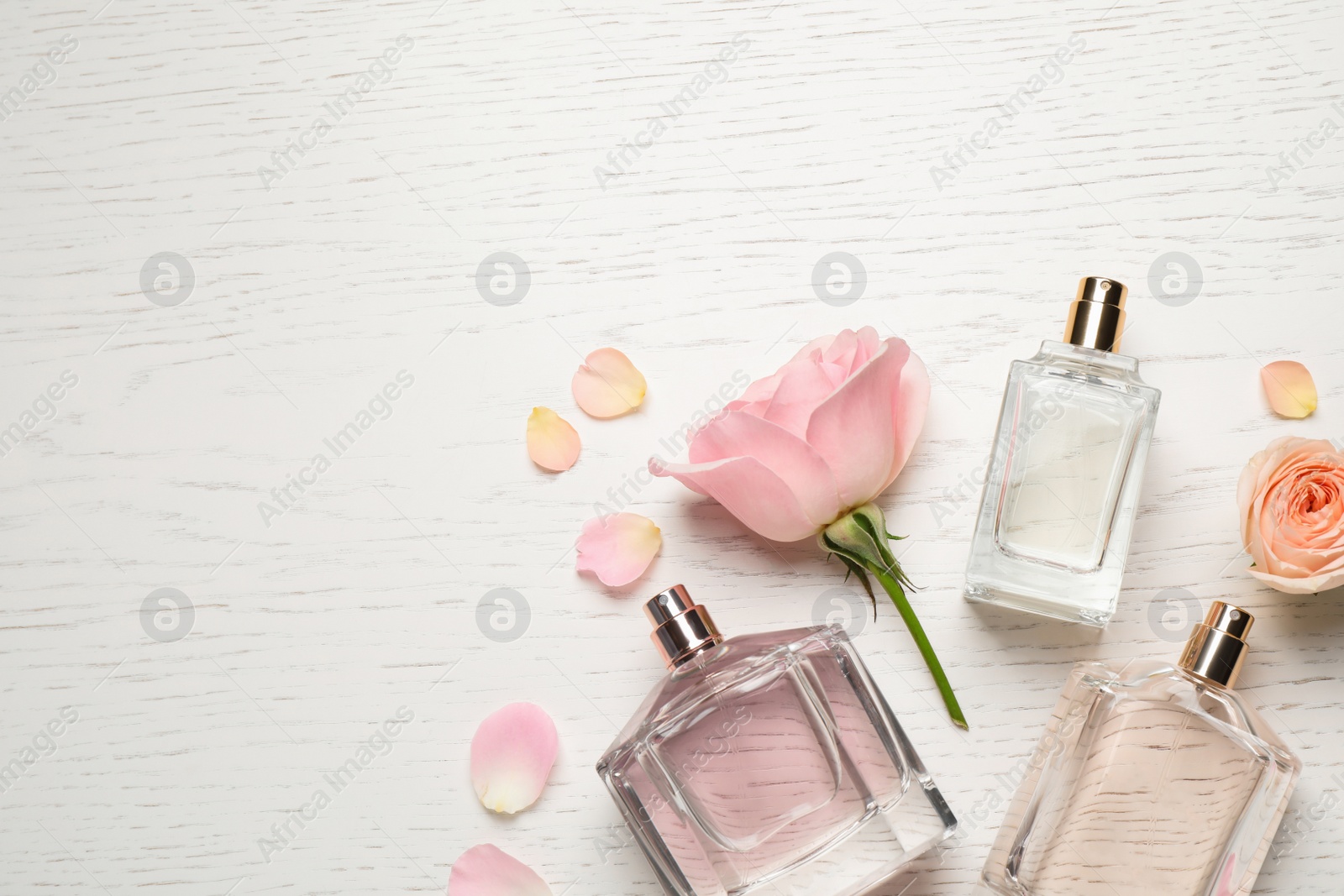 Photo of Flat lay composition with different perfume bottles and roses on white wooden background, space for text