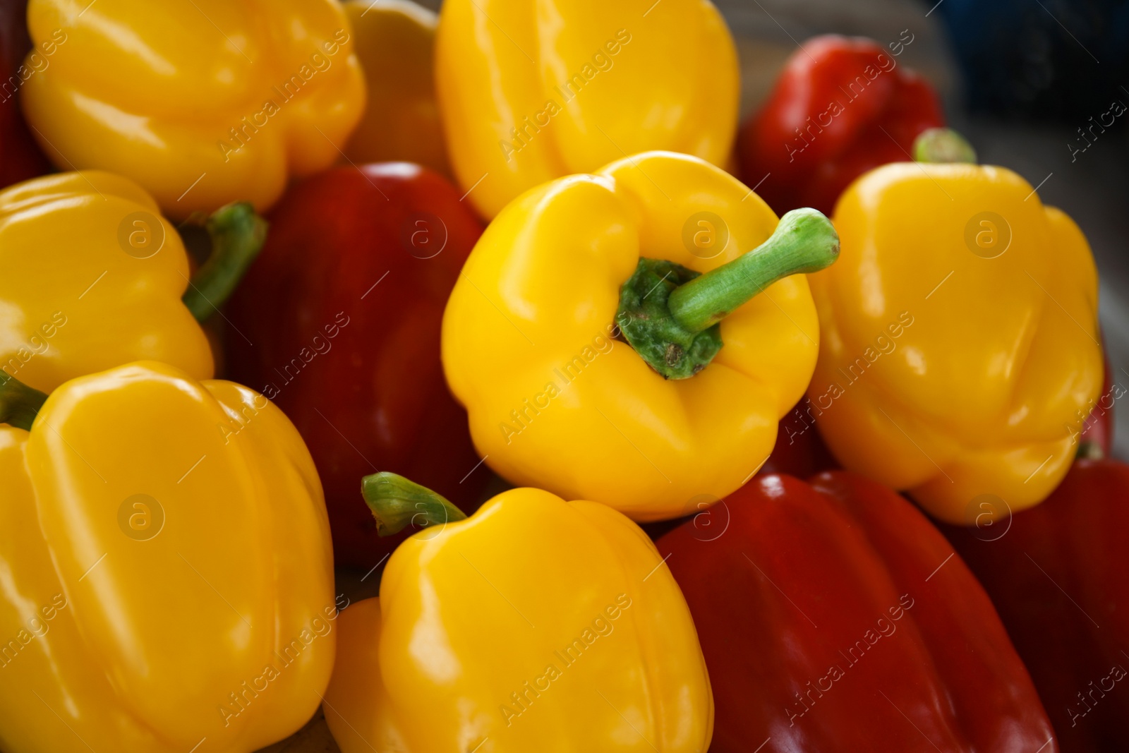 Photo of Closeup view of fresh ripe colorful bell peppers as background