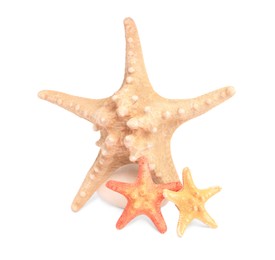 Photo of Beautiful sea stars (starfish) isolated on white
