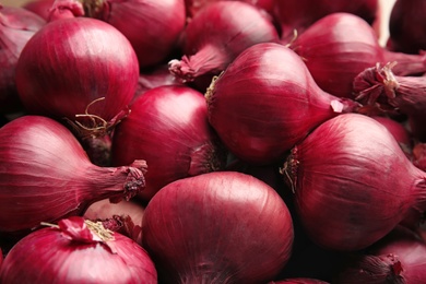 Photo of Ripe red onions as background