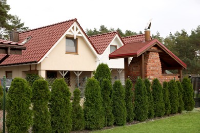 Beautiful two storey beach house and green trees outdoors