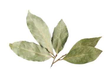 Photo of Sprig of aromatic bay leaves on white background, top view
