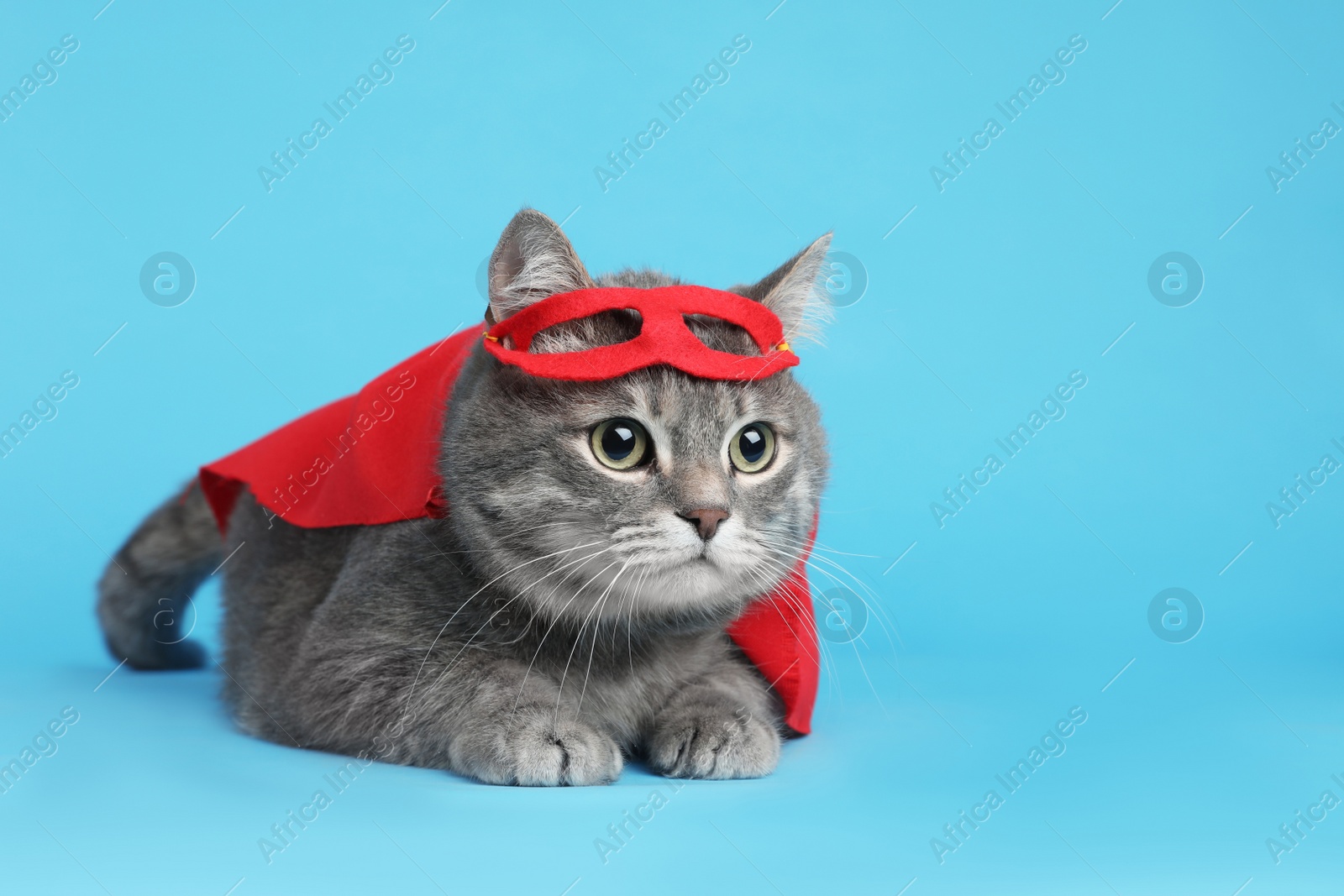 Photo of Adorable cat in red superhero cape and mask on light blue background, space for text