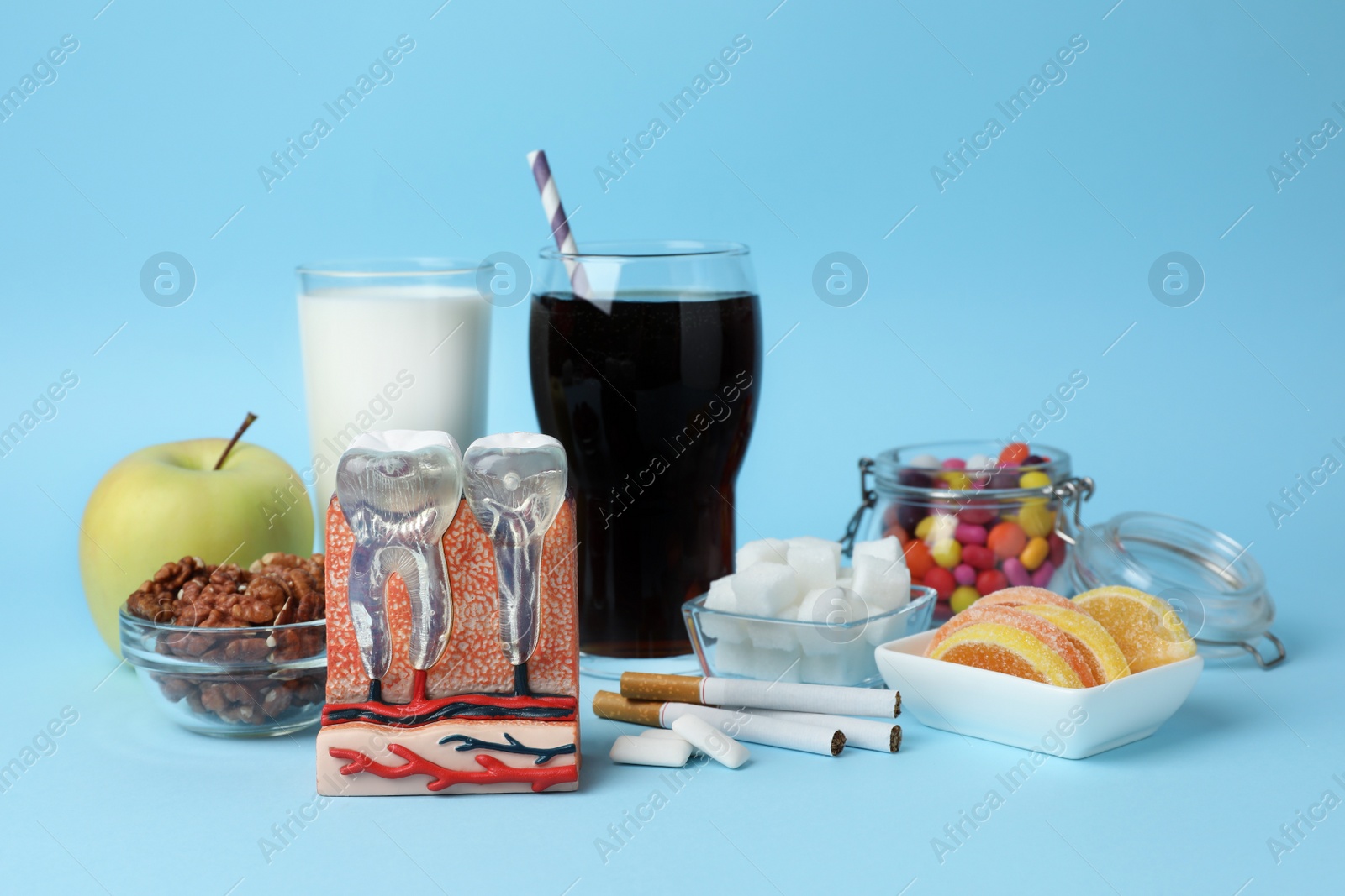 Photo of Model of jaw section with teeth near harmful products on light blue background