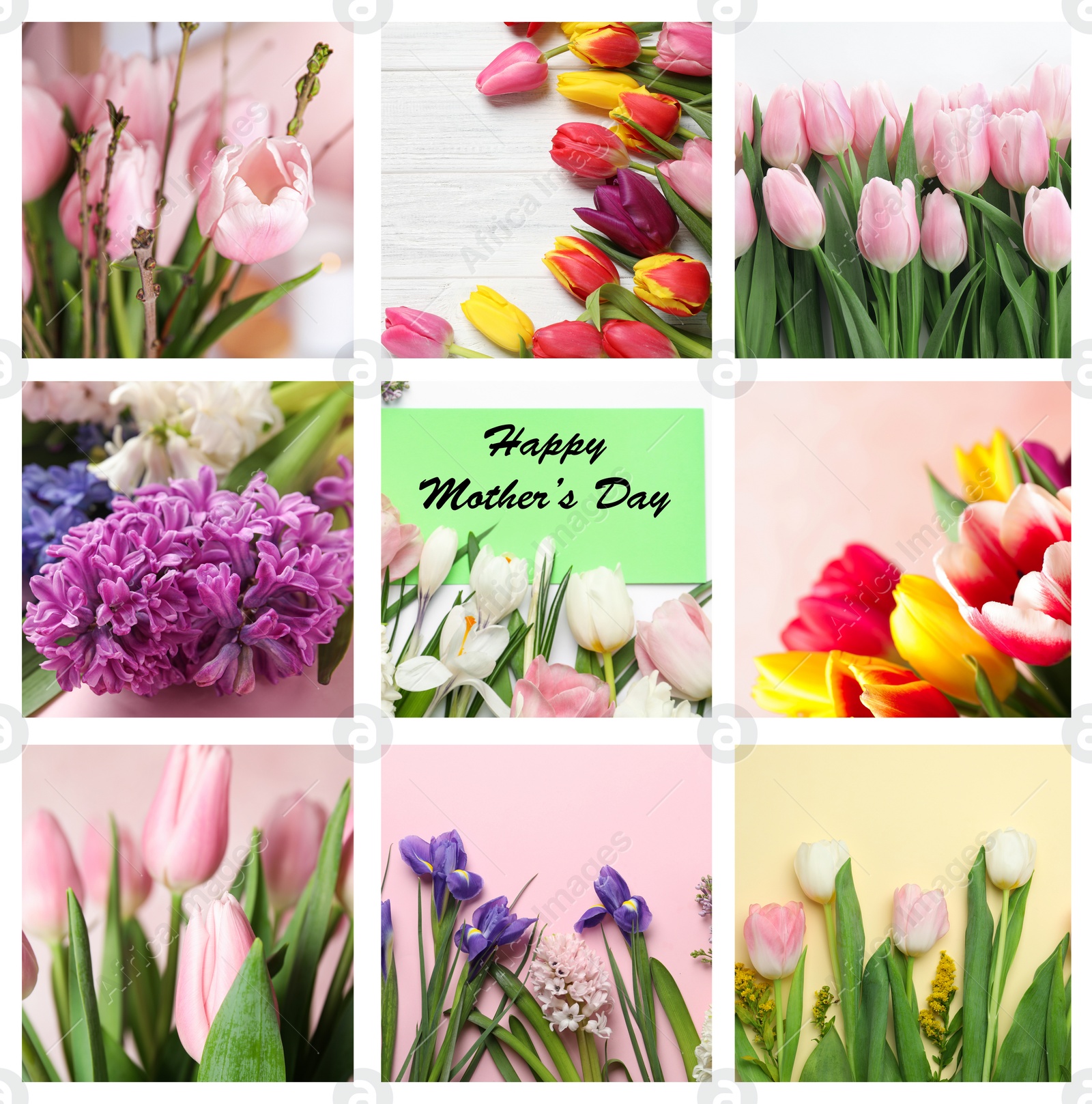 Image of Collage with photos of beautiful flowers and text Happy Mother's Day