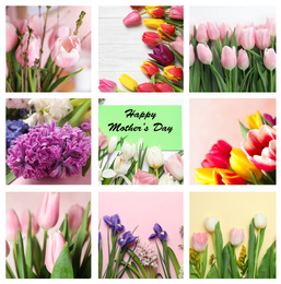 Image of Collage with photos of beautiful flowers and text Happy Mother's Day