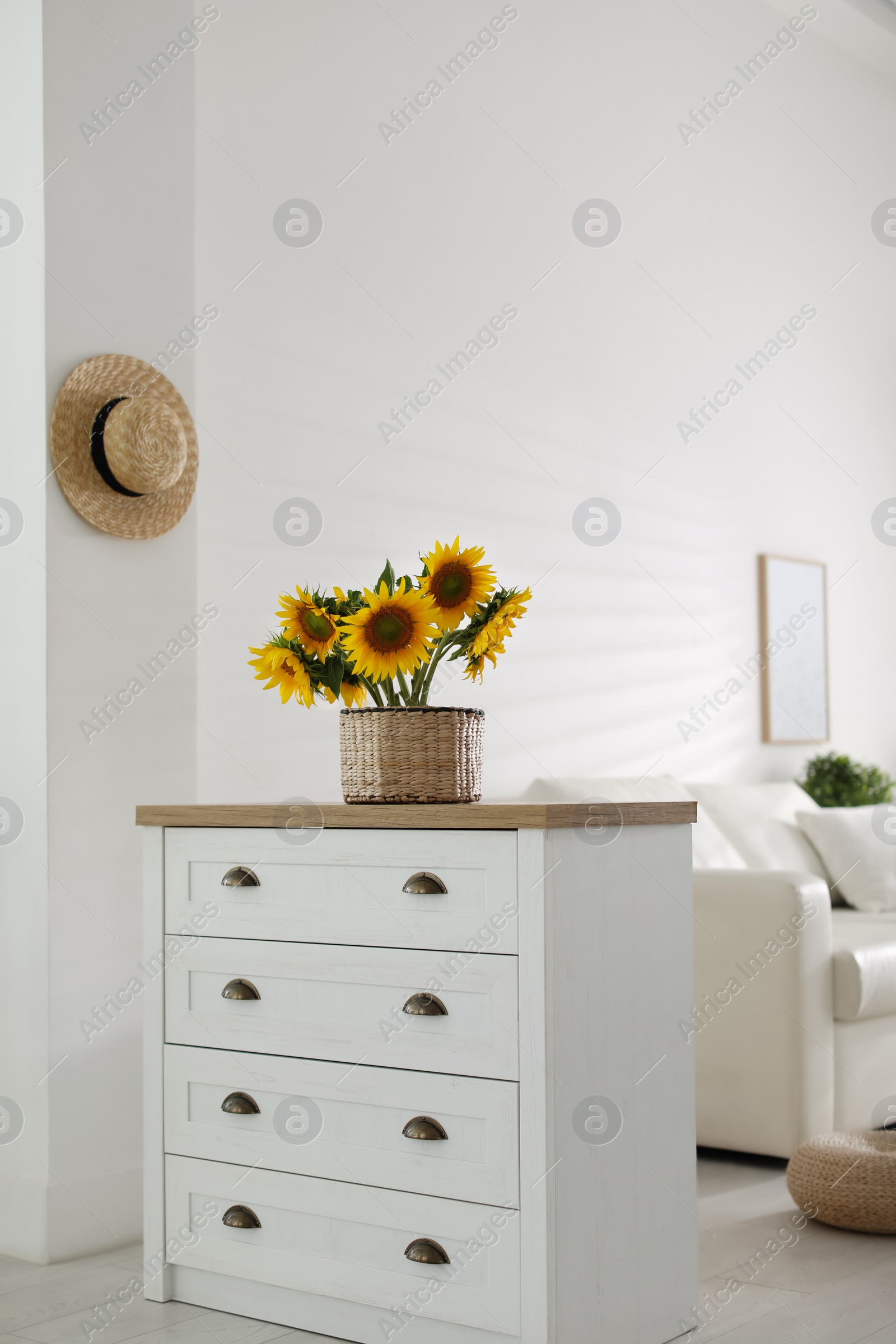 Photo of Beautiful yellow sunflowers on chest of drawers in room