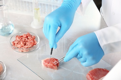 Photo of Scientist inspecting meat sample on table, closeup. Food quality control