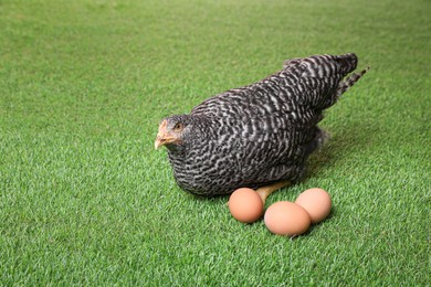 Photo of Beautiful chicken with eggs on green grass