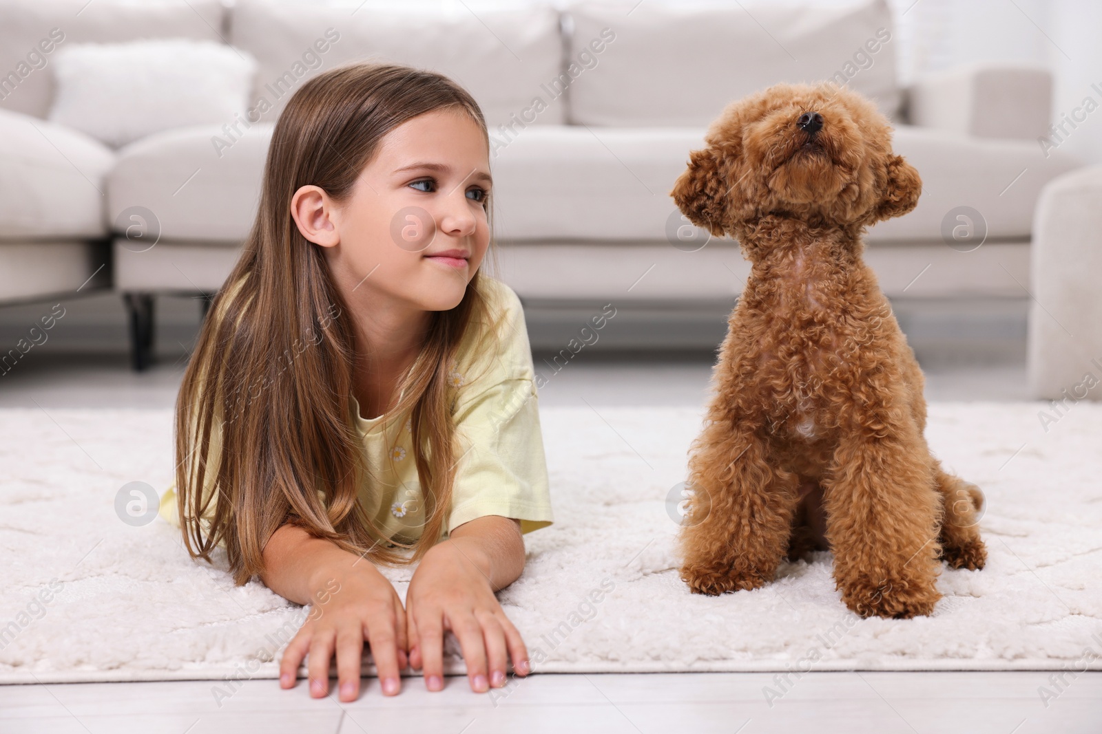 Photo of Little child and cute puppy on carpet at home. Lovely pet