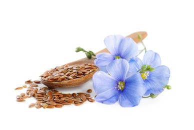 Flax flowers and seeds on white background