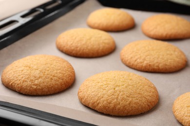 Delicious Danish butter cookies on baking tray, closeup