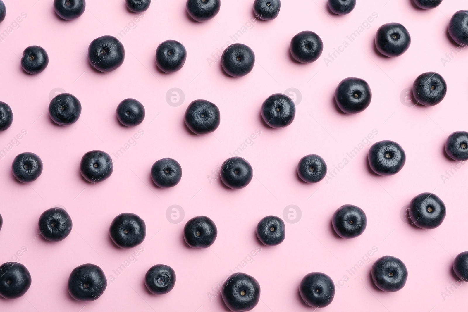 Photo of Fresh acai berries on pink background, flat lay