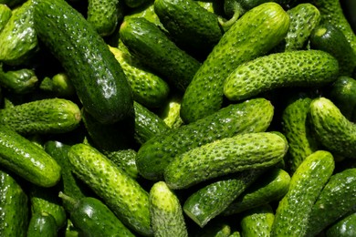 Photo of Fresh ripe cucumbers as background, top view