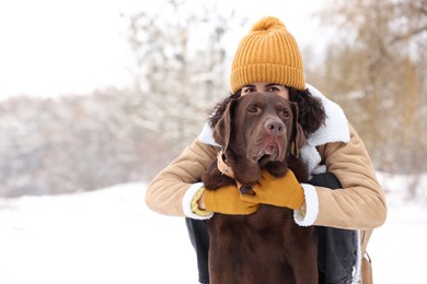 Woman with adorable Labrador Retriever dog in snowy park, space for text