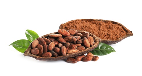 Photo of Composition with cocoa beans and powder on white background