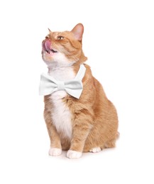 Photo of Cute cat with bow tie licking itself on white background