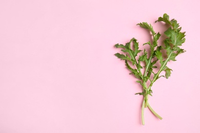 Photo of Fresh arugula on light pink background, flat lay. Space for text