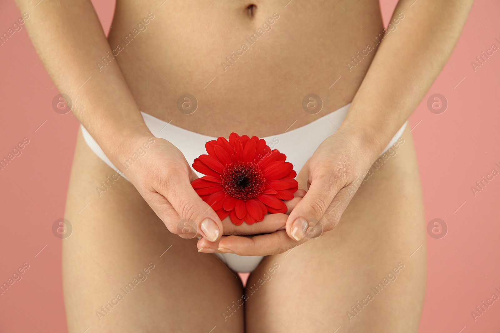 Photo of Gynecology. Woman in underwear with gerbera flower on pink background, closeup