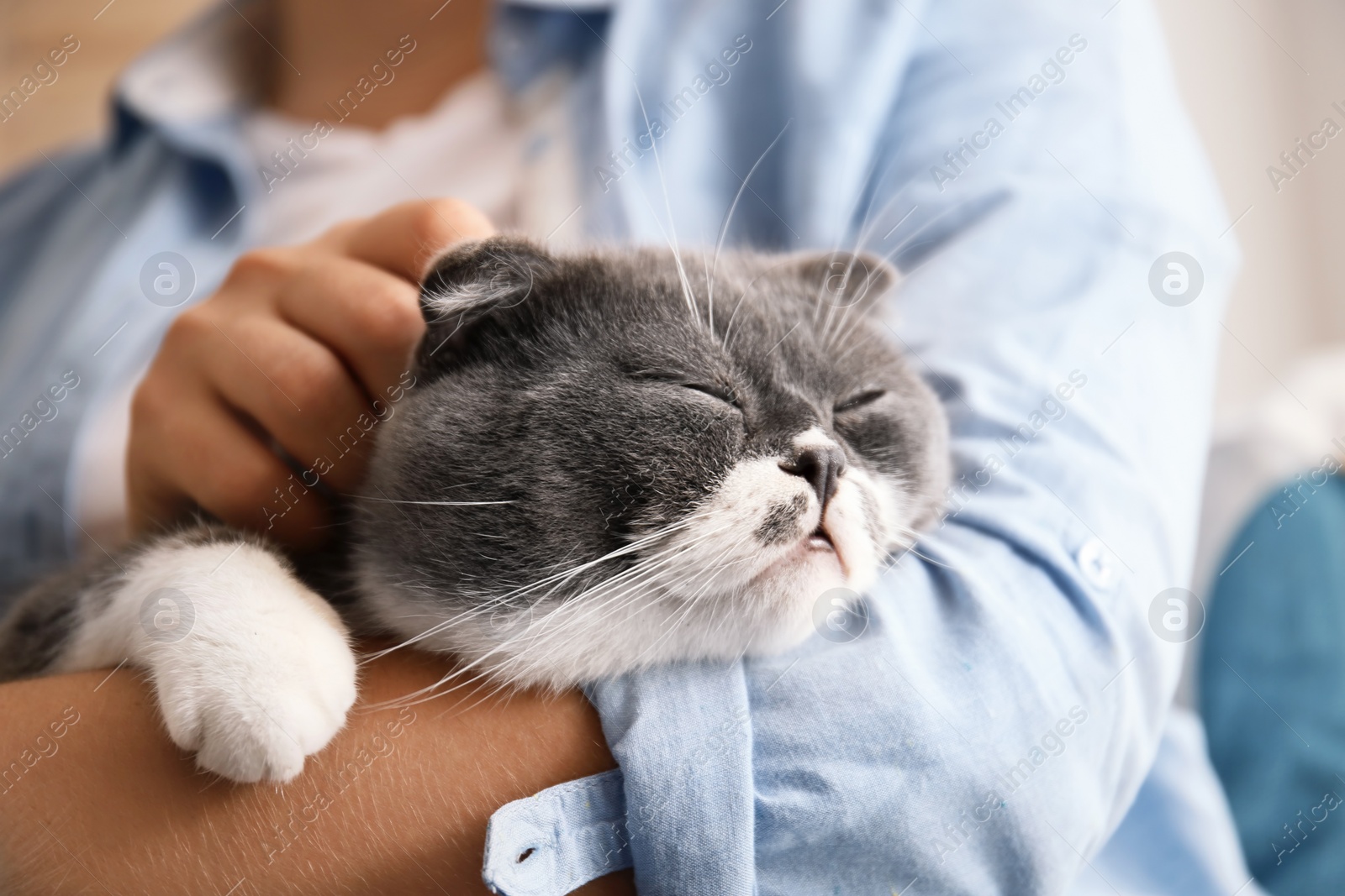 Photo of Woman stroking her cat at home, closeup